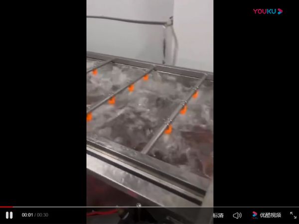 清洗風(fēng)干流水線